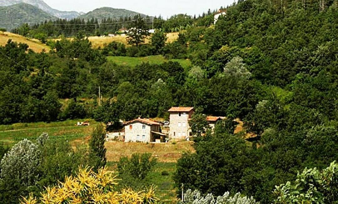 Agriturismo Paneolio Villa Collemandina Exterior foto